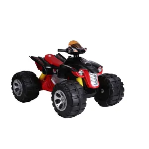 Amla Motorbike Battery Red JS318R