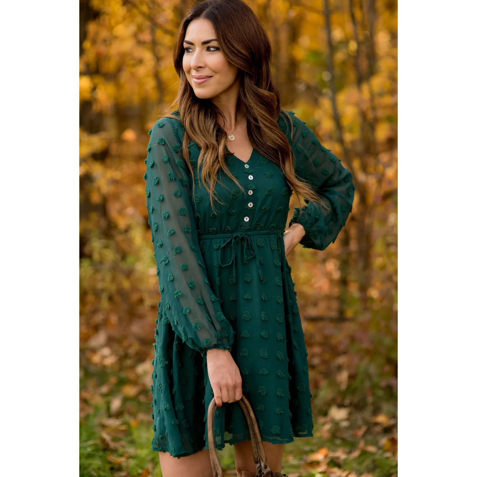 Elegant Button Up Swiss Dot Dress